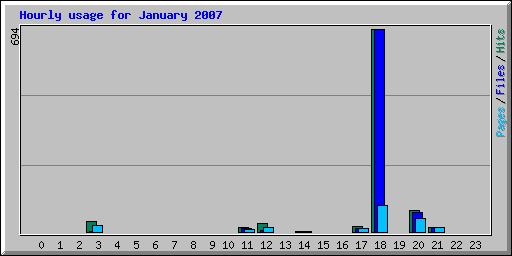 Hourly usage for January 2007